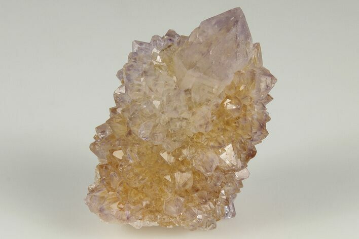 1.4" Cactus Quartz (Amethyst) Crystal- South Africa
